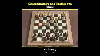 Chess Strategy and Tactics #76 | Shaw vs Whitney#catur #chess #game #games #checkmate #chessgame