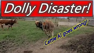 Dolly Disaster! AI for White House on the Hill goes wrong...