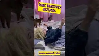 Как быстро встать #лайфхак #лайфхаки #прикол #приколы #рофл #скетч #тупость #котики #кошка #кушать