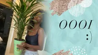 Marisinha Pereirão e um pouquinho do meu dia | vlog