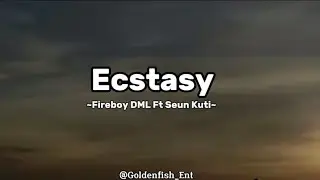 Fireboy DML Ft Seun Kuti - Ecstasy (Lyrics)