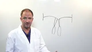 Mitral Valve Insufficiency (Leaky) - In A Nutshell