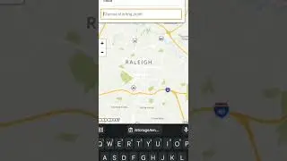 world map using html css js and api 