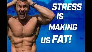 Is stress making us fat?