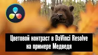 Цветовой контраст в DaVinci Resolve на примере Медведя. Показывает режиссер-практик