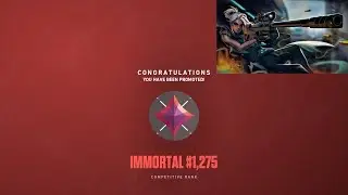 I Climbed to Immortal using a Operator Only...