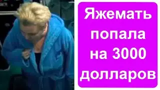 Яжемать попала на 3000 долларов!