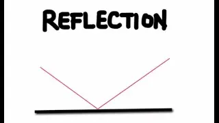 The Law of Reflection and Plane Mirrors