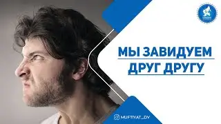 Мы завидуем друг другу