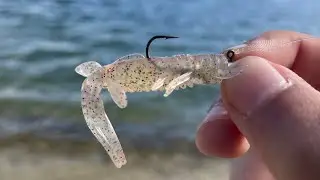 This Lure Catches Fish After Fish!!