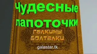 Галкины болталки #023│Чудесные лапоточки