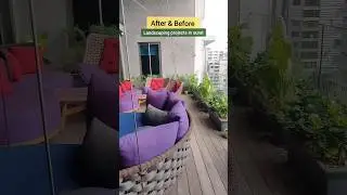 plant styling projects #aftereffects #plantstyling #greenproject