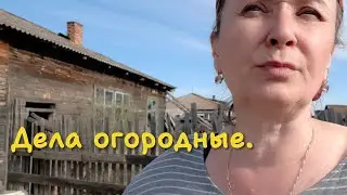 Завтракаем. Гренки. Огород. Деревенский парад Победы.