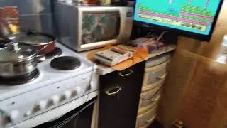 Dendy  мои дети увидели впервые в 2020 году