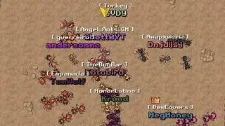 Pocket Ants - Co-op mode gameplay