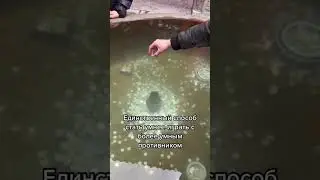 Прям в яблочко!!😀😀 #рек #рекомендации #цитата #цитаты