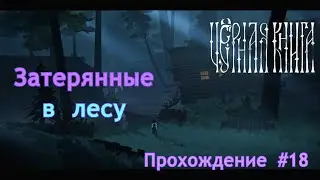 Затерянные в лесу  | Чёрная книга (Black book) | Прохождение | #18