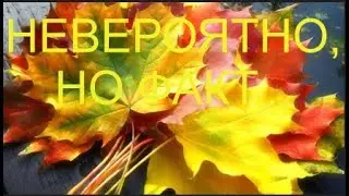 НЕВЕРОЯТНО, НО ФАКТ...#ШОРТ-ВИДЕО