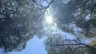 Una tarde en La Concepción