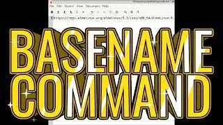 Why the Linux's basename command is amazing
