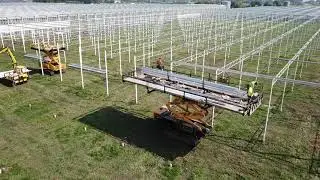 Havecon - Oostland Company aug '21
