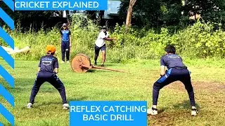 HOW TO TAKE REFLEX CATCHES | CRICKET EXPLAINED