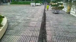 Đi công viên chơi