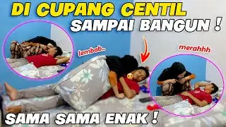 IKAN CUPANG DARI CENTIL