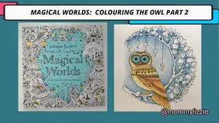 MAGICAL WORLDS: COLOURING THE OWL PART 2/3
