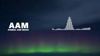 Mendum - Beyond (feat. Omri)
