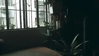 THE HAUNTED ARCHIVE'S