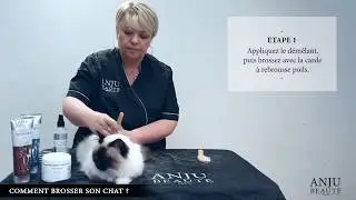 Démêler en douceur les poils de son chat - Catherine Favet