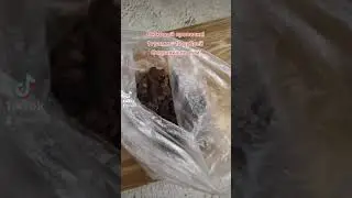 Летковый прополис в наличии!
