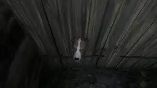 (SPOILERS) One of the more ridiculous, random cut scenes from Kingdom Come Deliverance