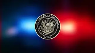 🔥Тестим Alt V проект | Функционал LSPD | Grand theft auto 5 | KPG🔥