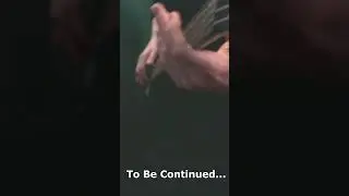 Yes - Roundabout ( To Be Continued JoJo meme ) #shorts