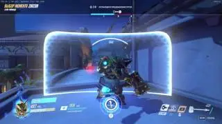 Reinhardt POTG