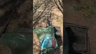 Субботник у реки Клязьма завершен