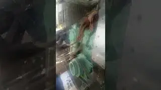 seguimos con el de 8