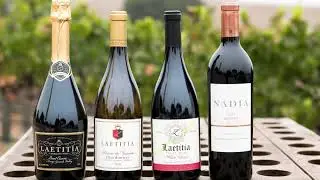 Laetitia Tour