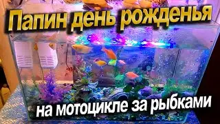 День рожденья Папы. На мотоцикле за рыбками. Отремонтировал мотоцикл не ремонтируя