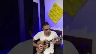 Rifa / Cavaco em Jacarandá e cedro canadense + case + captador + frete grátis -