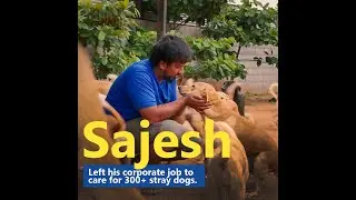 Watch: Bengaluru's Sajesh S Left His Corporate Job to Care For Stray Dogs