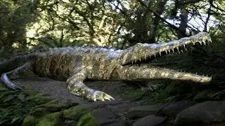 Crocodile Alligator Is The Real Slim Shady