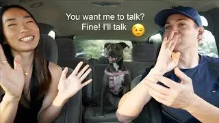 How I Felt When My Deaf Boyfriend Started Talking