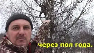 Через пол года. Привёз пчёл.