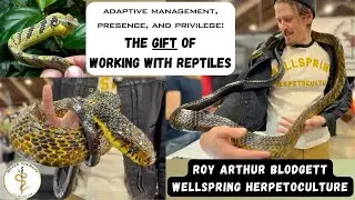 Working With Reptiles: Joy, Healing, and Rare Snakes with Roy Blodgett