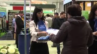 фундамент на винтовых сваях