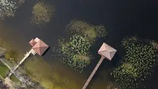 DJI 0005
