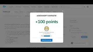 Add Pages to Your Site | Build Your Personal Portfolio on Salesforce - Trailhead